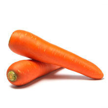 2021 New Harvest Umbelliferous Vegetable Hot Selling QUALITY Chinese Fresh Carrot